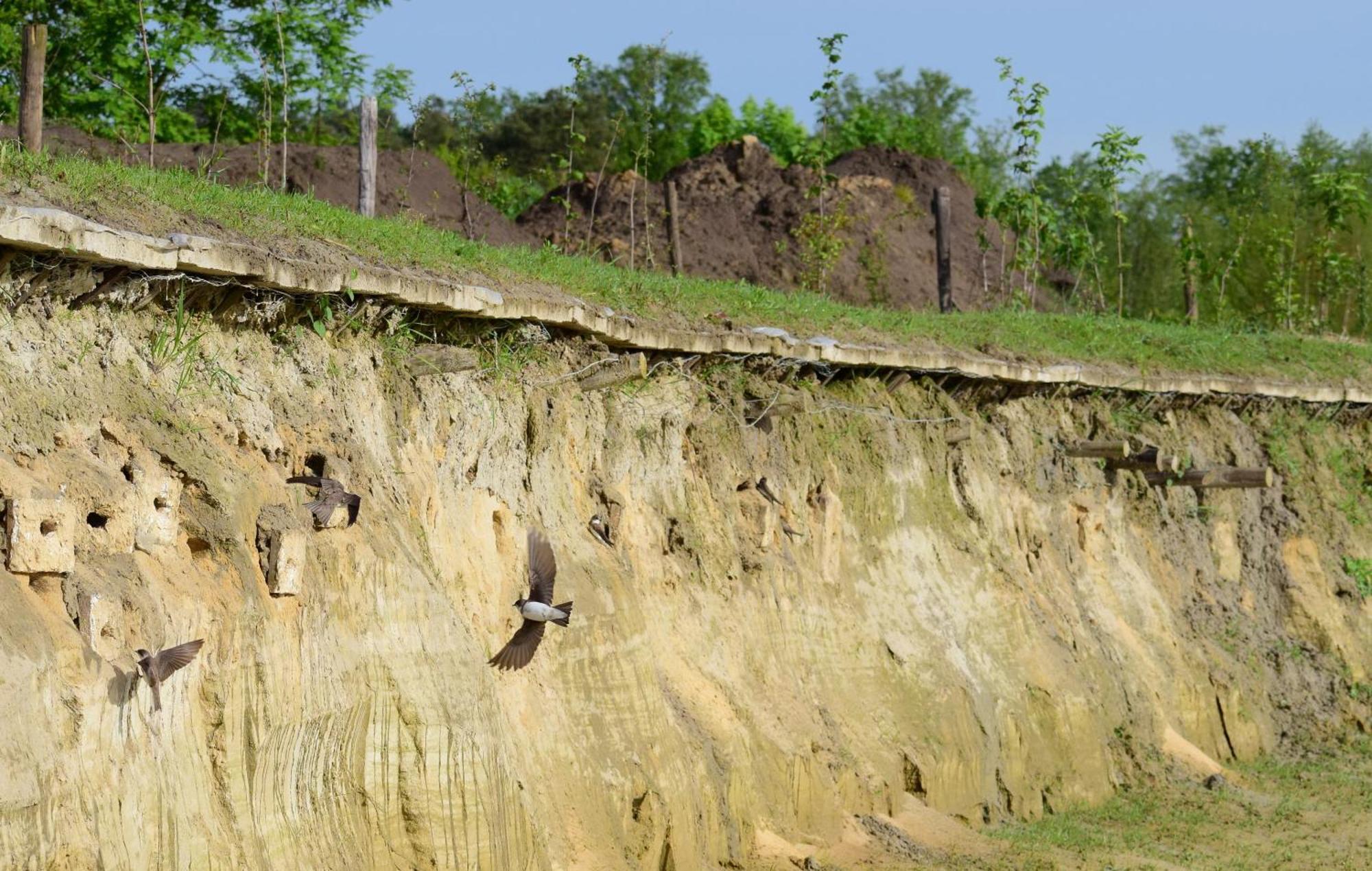 Vila Hoeve Twente - De Buizerd Heythuysen Exteriér fotografie